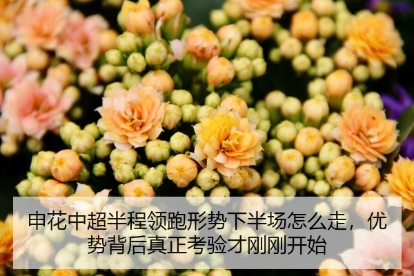 img_1783139694275_197_1_986.jpg